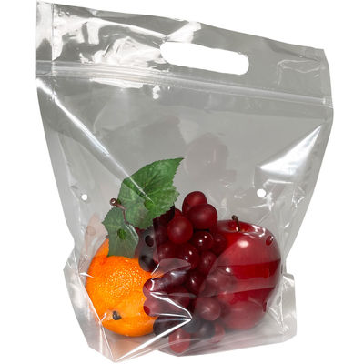 Zip Lock Plastic Printed Ziplockk Bags Dengan Logo Fruit Stand Up Pouch With Handle